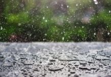 AVERTIZARE METEOROLOGICĂ COD PORTOCALIU DE VANT SI COD GALBEN DE PLOI