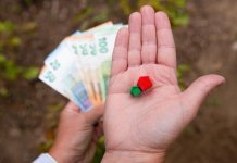 Răspunsul la criza provocată de pandemia de COVID-19: abordarea problemei creditelor neperformante pentru ca băncile să poată sprijini gospodăriile și întreprinderile din UE