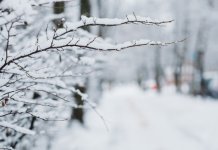 Spania a înregistrat cea mai mică temperatură din istoria măsurătorilor meteo