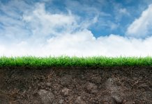 Agricultură: Comisia publică o listă cu posibile programe ecologice