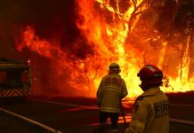Incendii de vegetație în Australia