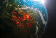 Construirea unui viitor rezilient la schimbările climatice – O nouă strategie a UE privind adaptarea la schimbările climatice