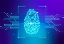 Cine va urmareste amprenta digitala? 8 sfaturi pentru a face mai sigura exprimarea in mediul online
