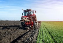 Producătorii agricoli nu vor mai fi despăgubiţi în caz de calamitate!