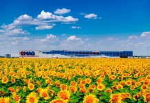 eMAG intră într-o nouă etapă de dezvoltare cu investiții de 3,2 miliarde lei în următorii trei ani și o evoluție a echipei executive