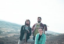 Echipa Muma Pădurii a plantat 1 hectar de pădure în județul Bistrița-Năsăud