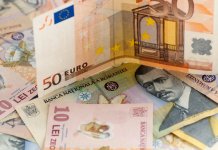 Euro atinge un nou maxim istoric în raport cu leul