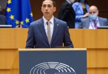 Cazul șoferului de TIR român ucis într-o parcare franceză a ajuns în Parlamentul European