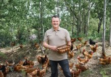 OgradaVerde.ro: afaceri de 300.000 de euro din hrană sănătoasă de la țară in 2020 20% creștere preconizată pentru 2021