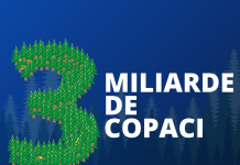 Pactul verde european: Comisia propune o nouă strategie pentru protejarea și refacerea pădurilor din UE