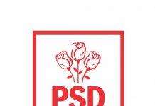 PSD cere anchetarea autodenunțurilor PNL privind politizarea companiilor de stat și a inspectoratelor școlare