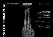 Alexandru ANTIK: Beyond Experimental, la Centrul Cultural Palatele Brâncovenești de la Porțile Bucureștiului – Mogoșoaia
