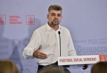 Consiliul Politic Național al Partidului Social Democrat s-a reunit la Neptun