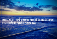 Marea Mediterană și Marea Neagră: Comisia propune posibilități de pescuit pentru 2022