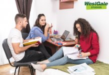 West Gate Studios: Cererea de spații de cazare pentru studenți a crescut cu 15% înainte de începerea noului an școlar. Tinerii caută acum locuințe mai sigure pentru sănătate pe perioada studiilor
