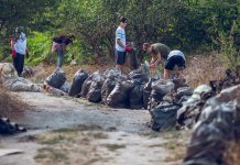 Peste 78 000 de voluntari au participat la Ziua Națională de Curățenie la cea de-a opta ediție de Let’s Do It, Romania!
