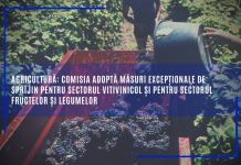 Agricultură: Comisia adoptă măsuri excepționale de sprijin pentru sectorul vitivinicol și pentru sectorul fructelor și legumelor*
