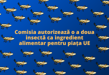 Comisia autorizează o a doua insectă ca ingredient alimentar pentru piața UE