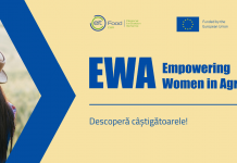 15.000 de euro finantare pentru 2 antreprenoare din industria agroalimentara in cea de-a doua editie a programului Empowering Women in Agrifood 2021