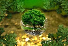 Pactul verde european: Comisia adoptă noi propuneri menite să stopeze defrișările, să introducă inovări în gestionarea durabilă a deșeurilor și să asigure soluri sănătoase