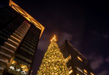 Crăciun de poveste și un decor de vis cu brad de 11 metri la One Floreasca City