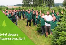 Leroy Merlin: 30.000 de clienti au participat la campania de reutilizare a brazilor de Craciun in primele doua saptamani ale anului
