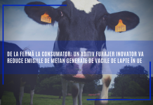 De la fermă la consumator: un aditiv furajer inovator va reduce emisiile de metan generate de vacile de lapte în UE