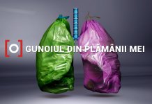 Observator lansează campania Gunoiul din plămânii mei
