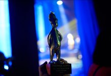Peste 90 de producții în cursa pentru nominalizări