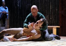 Tudor Cucu Dumitrescu nominalizat la premiile UNITER pentru rolul din spectacolul „Equus” al Teatrului Stela Popescu