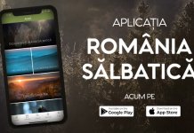 Aplicația România Sălbatică, un ghid complex despre natura țării noastre, este acum disponibilă!