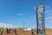 Ziua Verde by eMAG: angajatii companiei au plantat 10 ha de padure in jurul hubului logistic de la Joita
