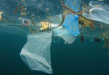 Reducerea la zero a poluării: un număr mare de ape pentru scăldat din Europa îndeplinesc cele mai înalte standarde de calitate