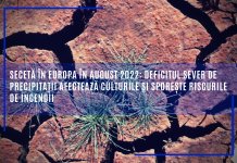 Secetă în Europa în august 2022: deficitul sever de precipitații afectează culturile și sporește riscurile de incendii