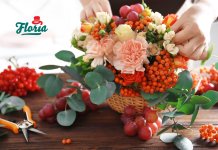 Floria.ro lansează colecția de toamnă și mizează pe o creștere de 15% în acest sezon