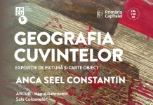 PICTURĂ, CĂRŢI OBIECT, COLAJE ŞI ŢESĂTURI ÎN EXPOZIŢIA ANCĂI SEEL-CONSTANTIN DE LA ARCUB