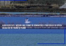 Biodiversitate: Măsuri mai ferme de combatere a traficului cu specii sălbatice de faună și floră