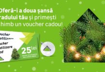 Leroy Merlin organizeaza pentru al optulea an consecutiv campania de vanzare sustenabila a brazilor naturali de Craciun