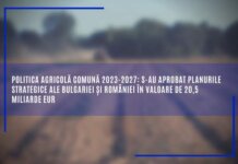 Politica agricolă comună 2023-2027: s-au aprobat planurile strategice ale Bulgariei și României în valoare de 20,5 miliarde EUR