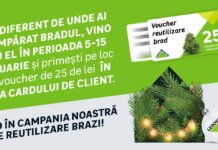 Romanii pot aduce bradul uscat in magazinele Leroy Merlin, indiferent de unde l-au achizitionat