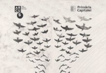 Teatru independent la ARCUB – Comedia dulce-amară „RESPIRO – Vacanţă pe acoperiş” se joacă pe 13 şi 14 iunie la Sala Mare ARCUB