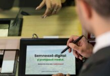 3 bune practici care transformă business-ul într-unul sustenabil