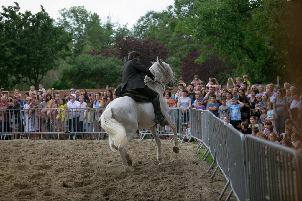 Strazi deschise_©Sorin Nainer-ARCUB 6