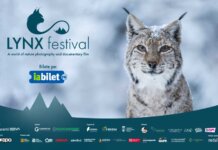 Peste 1.000 de spectatori, proiecții sold-out și întâlniri memorabile la prima ediție LYNX Festival