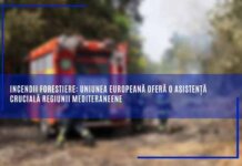 Incendii forestiere: Uniunea Europeană oferă o asistență crucială regiunii mediteraneene