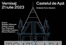 Lansare nou proiect – Palatul Culturii “Teodor Costescu” Drobeta Turnu-Severin
