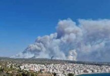 Incendii forestiere: UE mobilizează asistență pe cale aeriană și la sol pentru stingerea incendiilor din Grecia