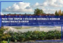 Pactul verde european: o utilizare mai sustenabilă a resurselor naturale vegetale și a solului