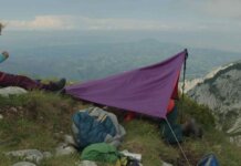 TOTEM, Între revoluții și Castelul Crăiței – lansările toamnei de la August Film
