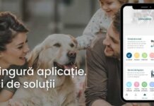 Startup-ul Artful Living lanseaza prima aplicatie de servicii premium at home on demand, in urma unei investitii de 250.000 de euro